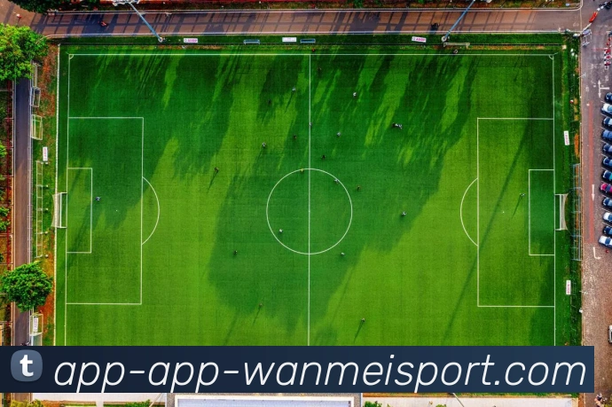 App Interface Preview