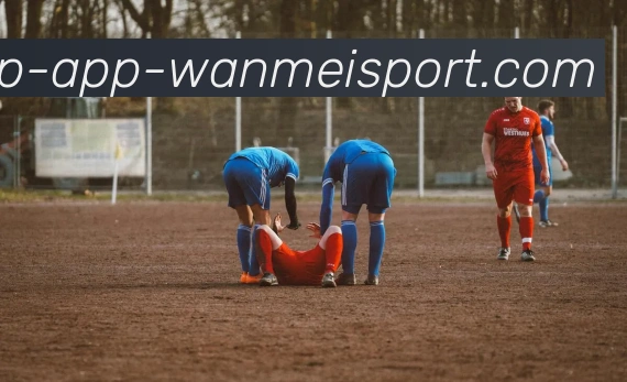 完美体育appAPP 封面图